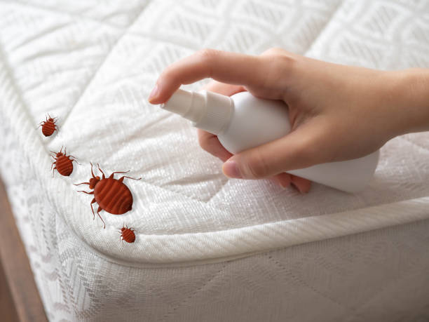 Best Pest Control for Multi-Family Homes  in Brandywine, MD